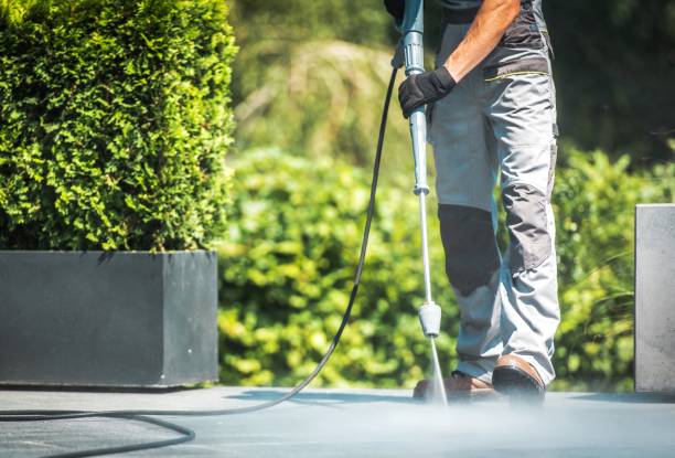 Animal Enclosure Cleaning in Beach Haven West, NJ