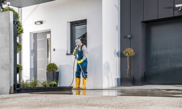 Best Gutter Cleaning  in Beach Haven West, NJ